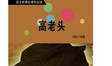 高老头读后感200字