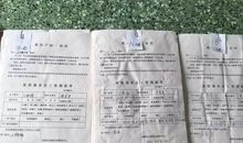 十年历程，十年展望