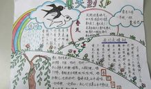 读《又一个草环》有感