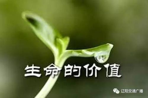 关于生活的段落