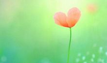 做最好的你自己