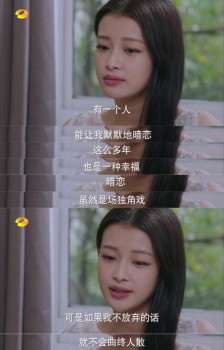 十五年候鸟经典行