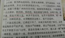 关于秋天的排比句