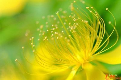 青年励志文章：让青年以最美丽的光芒发光