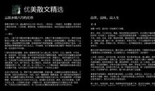 优美文章句子摘抄