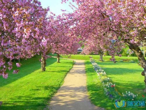 关于描述风景的好段落