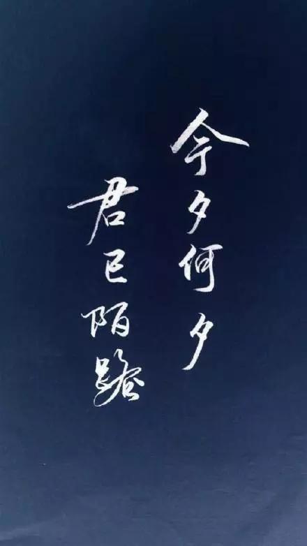 因孤独而审美的句子