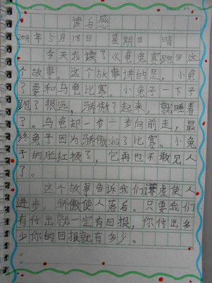 看完乌龟和野兔后200个字