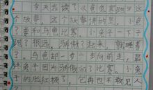 龟兔赛跑读后感200字