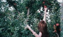 三毛：爱和信任