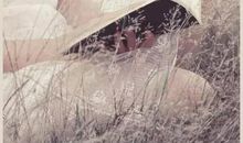 永远不要舍弃独处，即使你会孤独