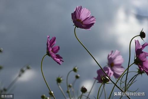 复杂永远不会简单