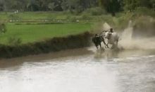 人生不过就是一边跌倒一边含着泪奔跑