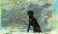 张小娴：失恋不要去散心