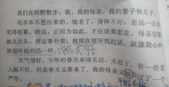 关于母爱的好词和句子