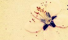 告别同事的话语