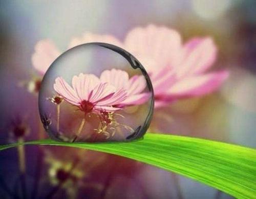 关于描述月亮的一段