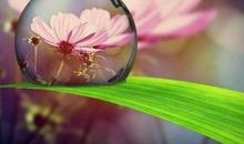 有关描写月亮的段落