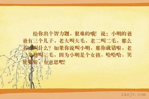 三毛：我的第二个孩子-第三小姐