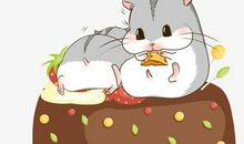 写动物作文：可爱的小松鼠