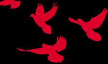 国庆节日记500字