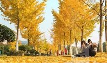 郁达夫：“天凉好个秋”