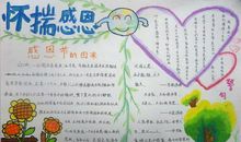 感恩节手抄报内容