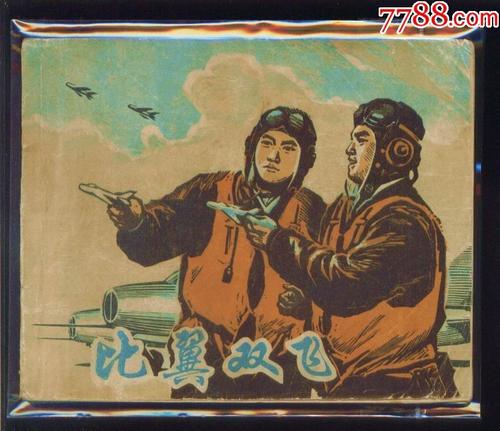 用两个翅膀飞过