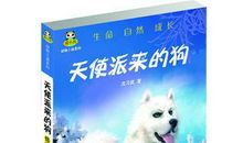 天使派来的狗读后感400字