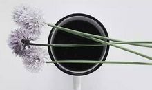 生活的考验，是命运的另一种成全