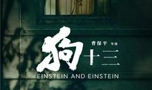 读《狗十三》有感