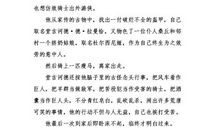 堂吉诃德读后感500字