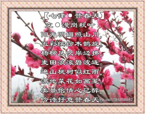 关于春天的诗