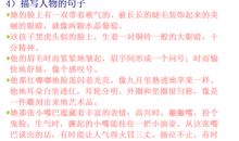 关于外貌的好段