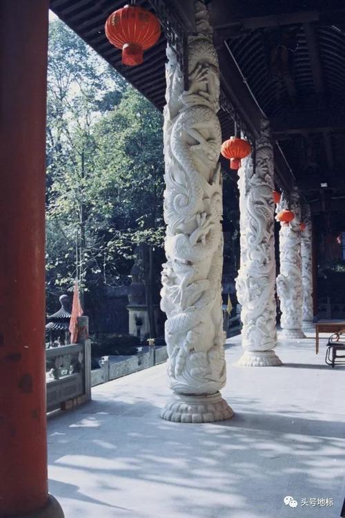 于大夫：回国后