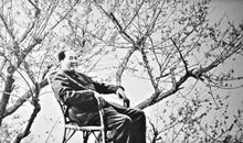 毛泽东：卜算子·咏梅