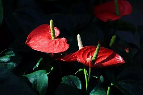 经典语录：所有迟到的仅仅是开始