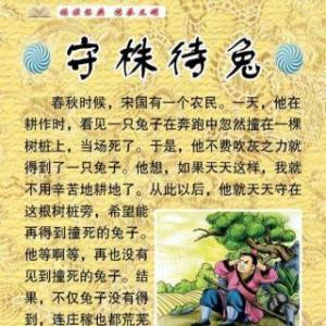 坐下来,等待兔子继续写作