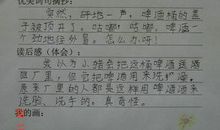 摘抄100字