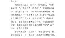 令我委屈的一件事作文