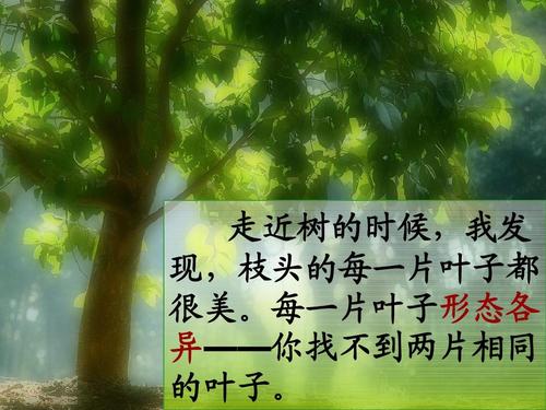 关于奉献的诗句