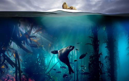 关于“蓝色星球2”的思考