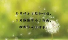 爱情感伤的句子