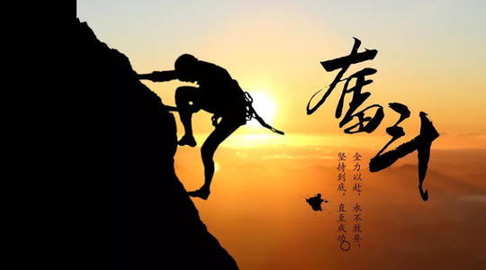 为“什么”而奋斗