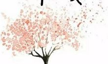 经典关怀的话语