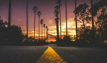 看到的都是光鲜，看不到的都是苟且