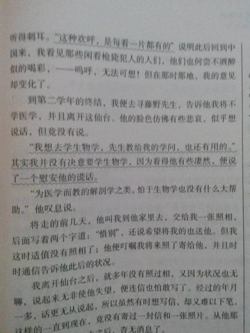 美文摘抄赏析600字