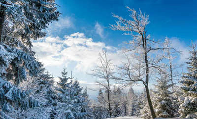 关于冬天的好话