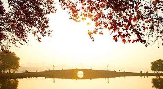 学生代表作：读《皮肤》后的感想