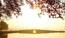 学生佳作：《皮囊》读后感